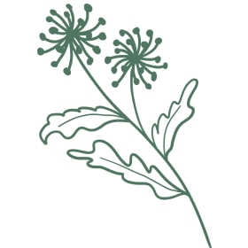 demo12.demoyeri.info